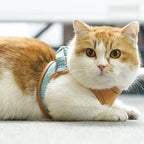 Escape-Proof Cat Harness And Leash For Walking
