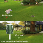 360° Animal Repellent Deterrent – 3-in-1 Ultrasonic, Motion Sensor & Flash Light Pest Control