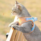 Escape-Proof Cat Harness And Leash For Walking