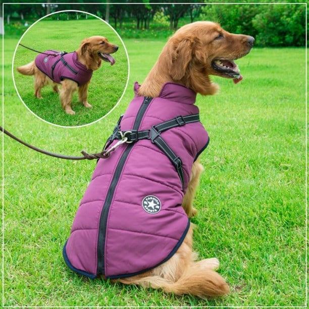 Waterproof Winter Dog Jacket with Integrated Harness - Keep Your Pet Warm and Secure