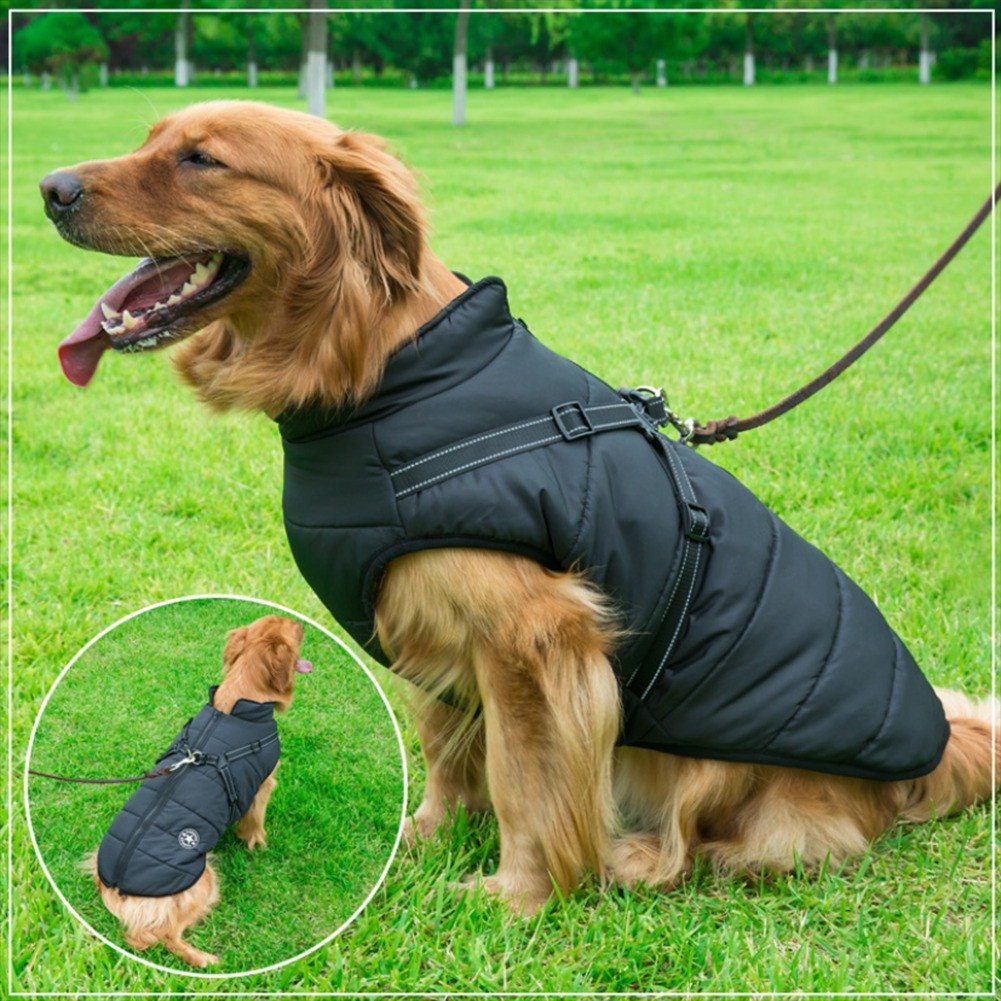 Waterproof Winter Dog Jacket with Integrated Harness - Keep Your Pet Warm and Secure