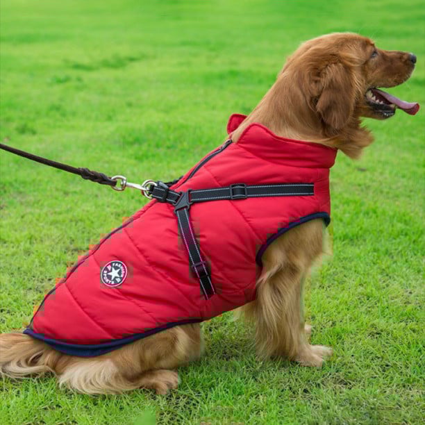 Waterproof Winter Dog Jacket with Integrated Harness - Keep Your Pet Warm and Secure