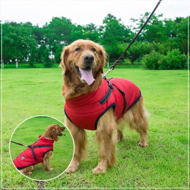 Waterproof Winter Dog Jacket with Integrated Harness - Keep Your Pet Warm and Secure
